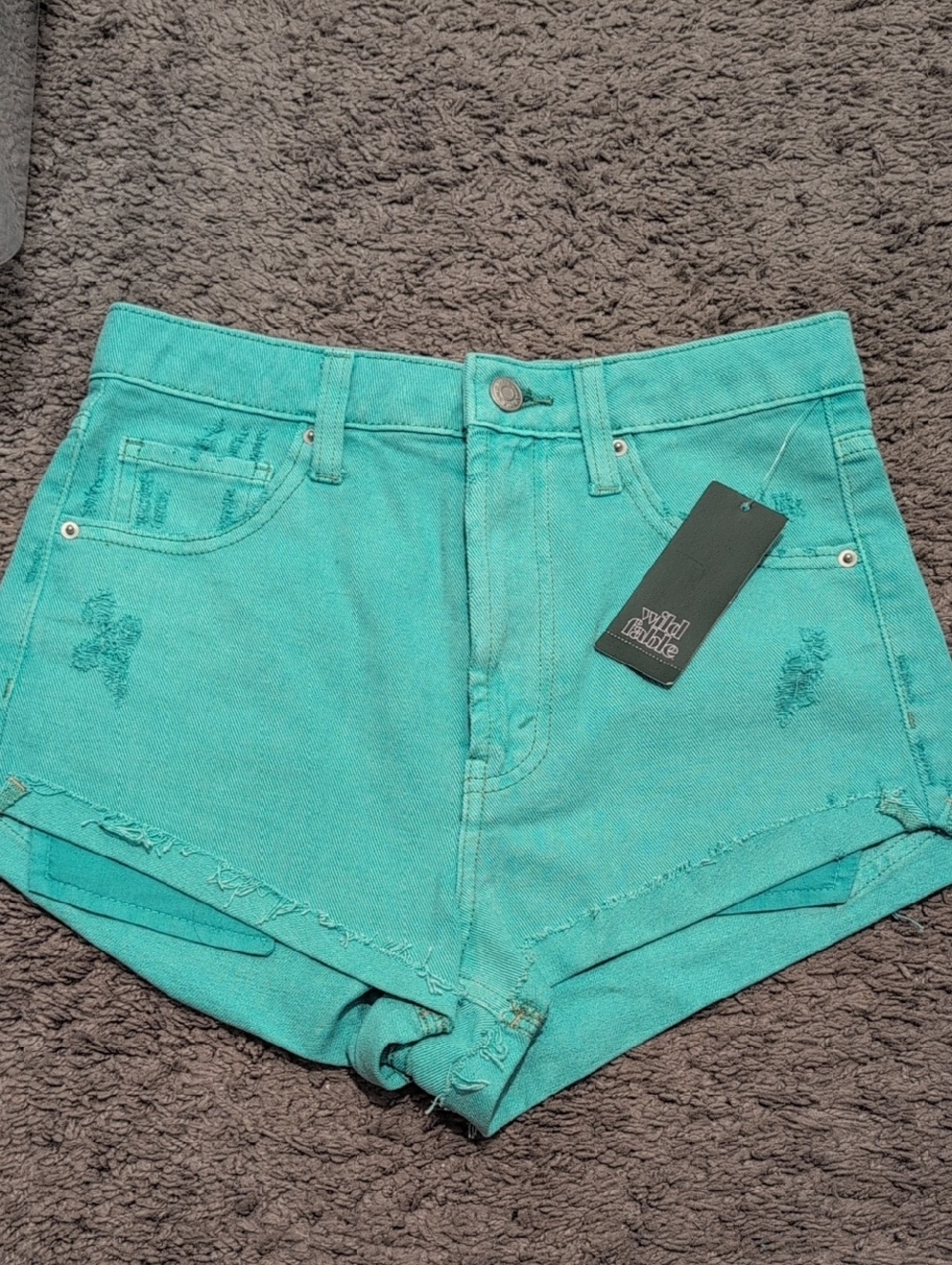 wild fable Teal High-Waist Denim Shorts